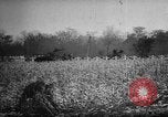 Standbild ungarische Revolution Ungarn, 1956, aus Sekunde 29 historischem Filmmaterial Videoclip 65675049140
