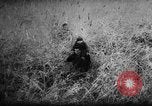 Standbild ungarische Revolution Ungarn, 1956, aus Sekunde 30 historischem Filmmaterial Videoclip 65675049140