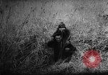 Standbild ungarische Revolution Ungarn, 1956, aus Sekunde 33 historischem Filmmaterial Videoclip 65675049140