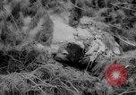 Image of Harry S Truman on use of atomic bomb against China United States USA, 1950, second 41 stock footage video 65675049145