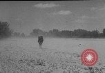Image of President Eisenhower United States USA, 1953, second 6 stock footage video 65675049148