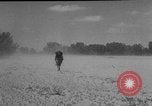 Image of President Eisenhower United States USA, 1953, second 7 stock footage video 65675049148