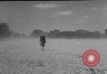 Image of President Eisenhower United States USA, 1953, second 8 stock footage video 65675049148