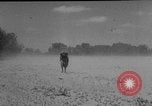 Image of President Eisenhower United States USA, 1953, second 9 stock footage video 65675049148