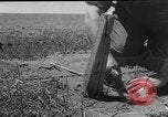 Image of President Eisenhower United States USA, 1953, second 11 stock footage video 65675049148