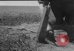 Image of President Eisenhower United States USA, 1953, second 12 stock footage video 65675049148