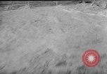 Image of flood Holland Netherlands, 1953, second 3 stock footage video 65675049149