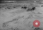 Image of flood Holland Netherlands, 1953, second 5 stock footage video 65675049149