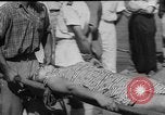 Immagine di Terremoto Ithaca Grecia, 1953, secondo 17 filmato di repertorio 65675049150