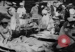 Immagine di Terremoto Ithaca Grecia, 1953, secondo 22 filmato di repertorio 65675049150