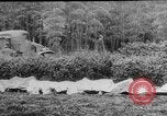 Immagine di C-124 crash Giappone, 1953, secondo 17 filmato di repertorio 65675049151