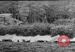Immagine di C-124 crash Giappone, 1953, secondo 19 filmato di repertorio 65675049151