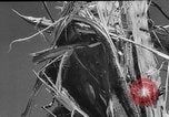 Immagine di Tornado United States USA, 1953, secondo 11 filmato di repertorio 65675049152