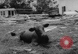 Image of hurricane Audrey Louisiana United States USA, 1957, second 19 stock footage video 65675049170