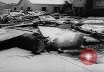 Image of hurricane Audrey Louisiana United States USA, 1957, second 22 stock footage video 65675049170