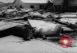 Image of hurricane Audrey Louisiana United States USA, 1957, second 23 stock footage video 65675049170
