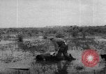 Image of hurricane Audrey Louisiana United States USA, 1957, second 27 stock footage video 65675049170
