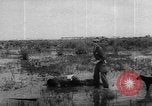 Image of hurricane Audrey Louisiana United States USA, 1957, second 28 stock footage video 65675049170
