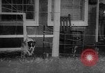 Image of hurricane Audrey Louisiana United States USA, 1957, second 30 stock footage video 65675049170