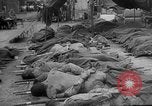 Standbild General Matthew Ridgway kommentiert Korea, 1951, aus Sekunde 59 historischem Filmmaterial Videoclip 65675049173