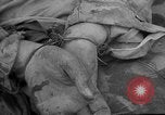 Standbild General Matthew Ridgway kommentiert Korea, 1951, aus Sekunde 61 historischem Filmmaterial Videoclip 65675049173