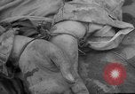 Standbild General Matthew Ridgway kommentiert Korea, 1951, aus Sekunde 62 historischem Filmmaterial Videoclip 65675049173