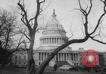 Standbild Präsident Harry Truman United States USA, 1951, aus Sekunde 23 historischem Filmmaterial Videoclip 65675049175
