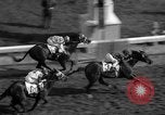 Standbild Kentucky Derby Louisville Kentucky USA, 1958, aus Sekunde 44 historischem Filmmaterial Videoclip 65675049193