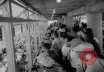 Standbild Indianapolis 500 Meilen Rennen Indianapolis Indiana USA, 1958, aus Sekunde 10 historischem Filmmaterial Videoclip 65675049194
