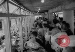 Standbild Indianapolis 500 Meilen Rennen Indianapolis Indiana USA, 1958, aus Sekunde 11 historischem Filmmaterial Videoclip 65675049194