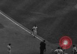 Image of 1958 major league baseball review New York United States USA, 1958, second 33 stock footage video 65675049198