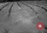 Standbild diving Meisterschaft Topeka Kansas USA, 1958, aus Sekunde 22 historischem Filmmaterial Videoclip 65675049199