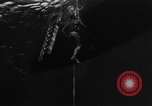 Immagine di Navy diver United States USA, 1943, secondo 20 filmato di repertorio 65675049200