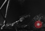 Image of Navy diver United States USA, 1943, second 17 stock footage video 65675049209
