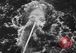 Image mine explosion Nouméa France, 1943, de la seconde 26 séquences d'archives historiques vidéo 65675049210