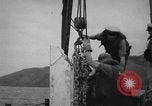 Immagine di Elemento di ancoraggio Noumea Francia, 1943, secondo 48 filmato di repertorio 65675049211