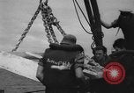 Immagine di Elemento di ancoraggio Noumea Francia, 1943, secondo 53 filmato di repertorio 65675049211