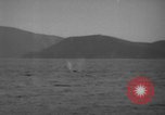 Standbild USA Minesweeper in Betrieb Zweiten Weltkrieg Pacific Theater, 1943, aus Sekunde 58 historischem Filmmaterial Videoclip 65675049213