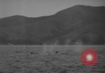 Standbild USA Minesweeper in Betrieb Zweiten Weltkrieg Pacific Theater, 1943, aus Sekunde 61 historischem Filmmaterial Videoclip 65675049213