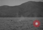 Standbild USA Minesweeper in Betrieb Zweiten Weltkrieg Pacific Theater, 1943, aus Sekunde 62 historischem Filmmaterial Videoclip 65675049213