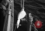 Standbild Paravane Atlantik, 1943, aus Sekunde 19 historischem Filmmaterial Videoclip 65675049219