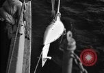 Standbild Paravane Atlantik, 1943, aus Sekunde 20 historischem Filmmaterial Videoclip 65675049219