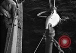 Standbild Paravane Atlantik, 1943, aus Sekunde 21 historischem Filmmaterial Videoclip 65675049219