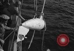 Standbild Paravane Atlantik, 1943, aus Sekunde 32 historischem Filmmaterial Videoclip 65675049219