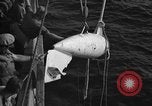 Standbild Paravane Atlantik, 1943, aus Sekunde 34 historischem Filmmaterial Videoclip 65675049219