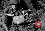 Standbild deutschen Kriegsgefangenen auf einem Feld in Frankreich Frankreich, 1944, aus Sekunde 1 historischem Filmmaterial Videoclip 65675049234