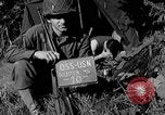 Standbild deutschen Kriegsgefangenen auf einem Feld in Frankreich Frankreich, 1944, aus Sekunde 3 historischem Filmmaterial Videoclip 65675049234