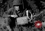 Standbild deutschen Kriegsgefangenen auf einem Feld in Frankreich Frankreich, 1944, aus Sekunde 4 historischem Filmmaterial Videoclip 65675049234