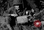 Standbild deutschen Kriegsgefangenen auf einem Feld in Frankreich Frankreich, 1944, aus Sekunde 5 historischem Filmmaterial Videoclip 65675049234