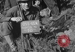 Standbild deutschen Kriegsgefangenen auf einem Feld in Frankreich Frankreich, 1944, aus Sekunde 6 historischem Filmmaterial Videoclip 65675049234